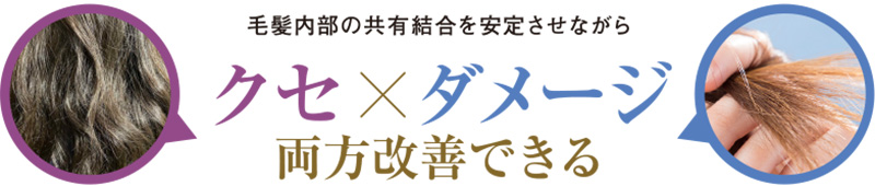 毛髪内部の共有結合を安定させながらクセ×ダメージ両方改善できる