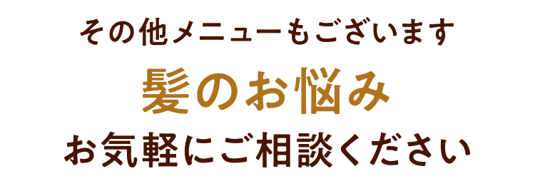 その他メニューもございます 髪のお悩みお気軽にご相談ください
